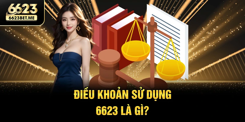dieu-khoan-su-dung-6623-la-gi