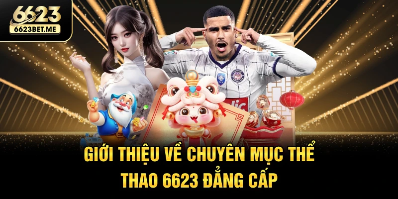 gioi-thieu-ve-chuyen-muc-the-thao-6623-dang-cap